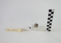 11 Tungsten Lamps for UV-Spectrophotometer